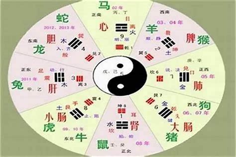 字的屬性|汉字五行属性查询